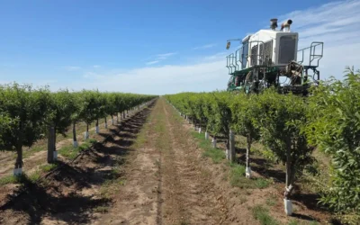Participación en las Jornadas sobre el Potencial del Cultivo de Olivo y Almendra en el Sudeste de Buenos Aires